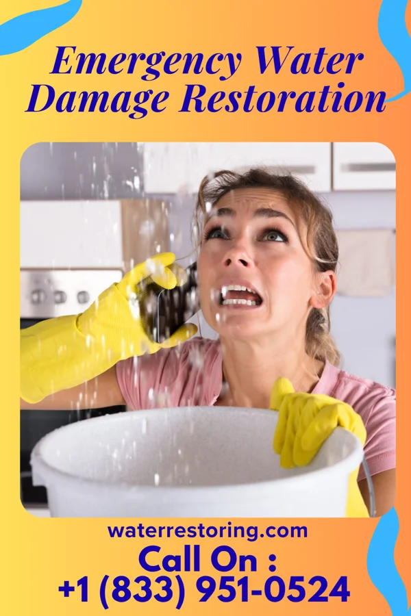 Emergency Water Damage Restoration in Mills, WY