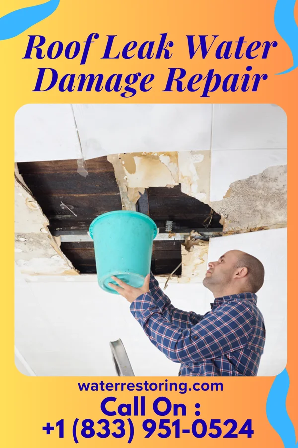 Roof Leak Water Damage Repair in Mills, WY