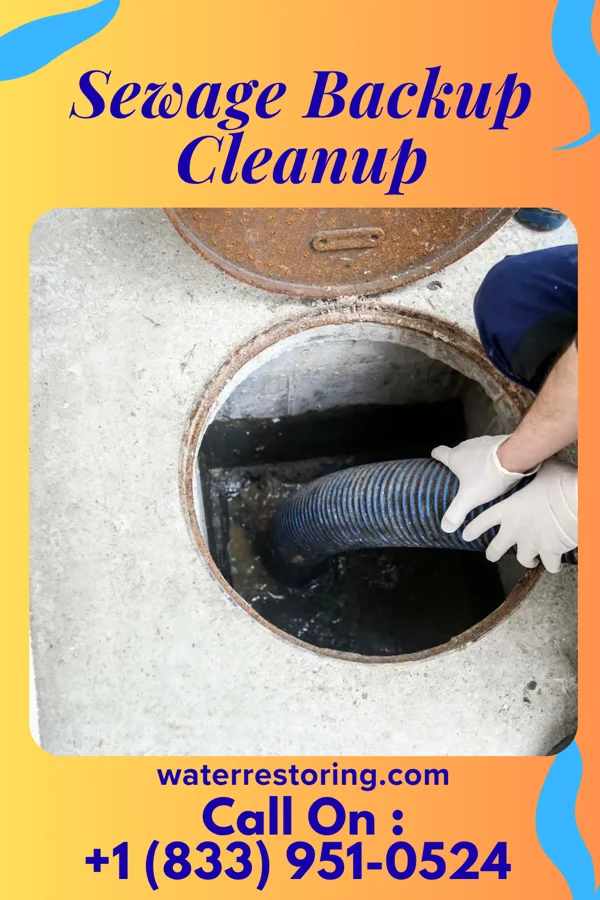 Sewage Backup Cleanup in Mills, WY
