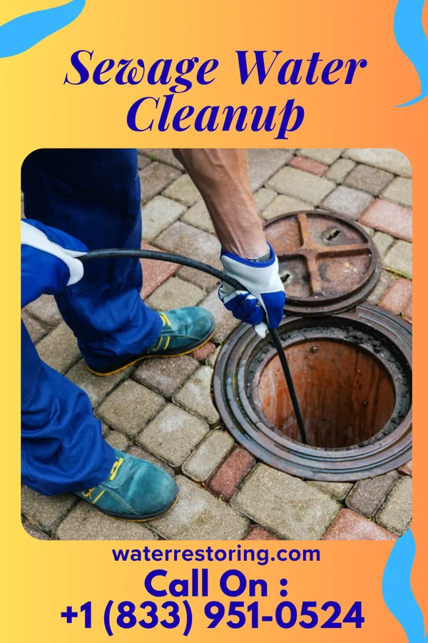 Sewage Water Cleanup in Mills, WY